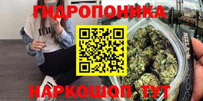 a pvp Можга