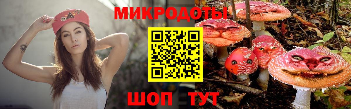 Галлюциногенные грибы Magic Shrooms Гудермес